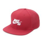 【NIKE】NIKE SB PERF TRUCKER/RED